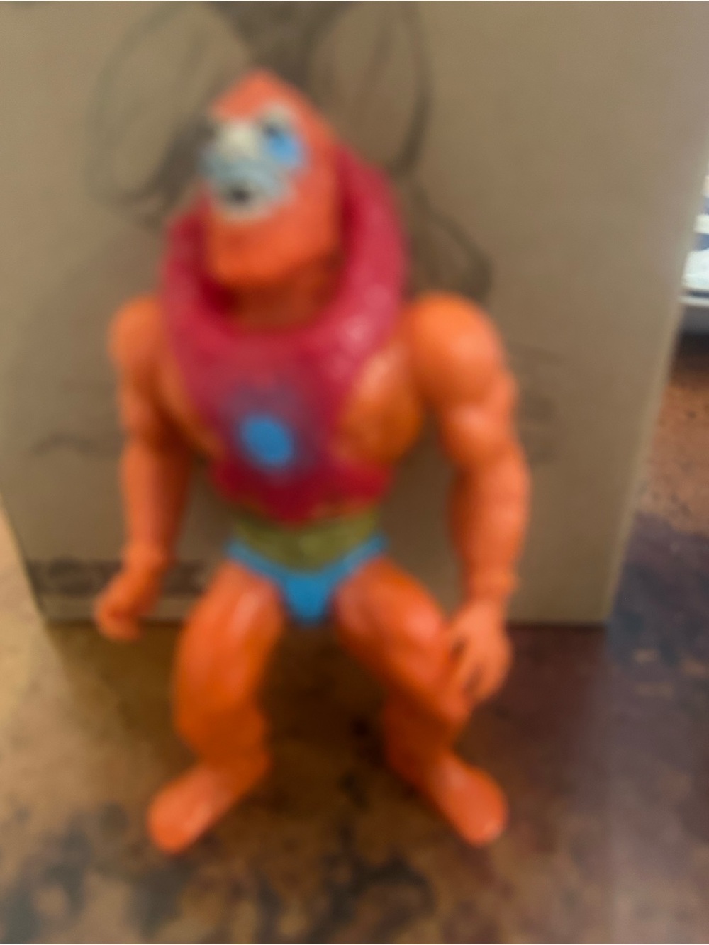 Motu - Picture 3 of 11
